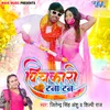 About Pichkari Tana Tan Song